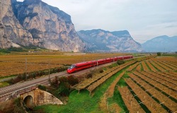 Aerial view of a fast train dashing through the beautiful landscape of vineyard fields on a sunny autumn day and a rugged mountain wall dominating the background, in Mezzocorona, Trentino, Italy