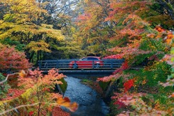 Autumn scenery of a red car driving thru a bridge over a stream in the forest with beautiful fall colors on the riverside, in Karuizawa 軽井沢, which is a popular tourist destination in Nagano, Japan