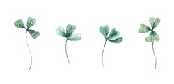 Set of watercolor realistic clover leaves isolated on white background. Trefoil botanical clip art. 