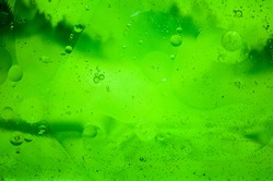 Tone, texture, design. On a green background bubbles of air on oil.