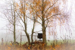 Lonely and abandoned old leather chair under yellow birch for hunting purposes. Golden fall. Foggy morning. Hunting place.