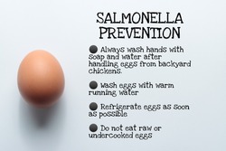 salmonella prevention from eggs infographic typography