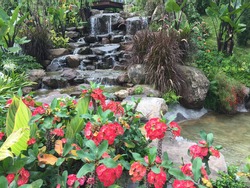 Waterfall with blooming flowers in the garden