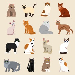 Cat breeds cute pet animal set vector illustration