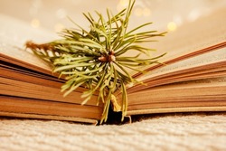 Open book and a green pine tree branch on soft background with lights close up. Winter reading, learning concept. Shallow focus