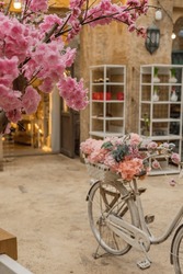 Spring sakura tree in blossom, old bicycle  decorated with flowers in the old town, street with old building  or market as background. Spring decor