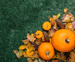 Pumpkin and autumn season leaves on grass background