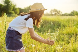 Summer nature, back view of child girl in straw hat tearing meadow grasses, copi space beautiful sunset meadow landscape
