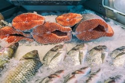Sale of fresh frozen fish on farmer's bazaar. Open showcases of seafood market. Fish store. Pieces of salmon fresh salmon on ice in supermarket close-up