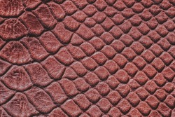Texture of brown genuine leather close-up with wrinkles and cracks, embossed under the skin of reptile, natural background