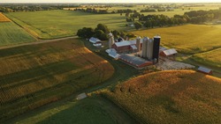 Aerial view of farm, red barns, corn field in September. Harvest season. Rural landscape, american countryside. Sunny morning
