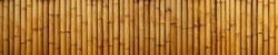 Bamboo texture wood natural patterns brown. Closeup trunk plant of wooden bamboo poles, wall fence vintage seamless background. Surface bamboo panorama for decoration style Asia Thailand, Japan