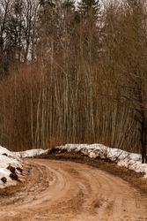 Vertical photo of yellow sandy path in forest curves left at foggy grey early spring day. Vintage countryside small road near Ergli, Latvia in grey day. Wavy forest way framed with snow