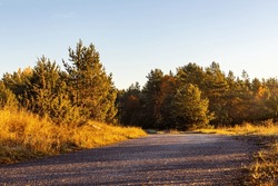 Sunrise early on a small road. Sunny misty morning on a country road. Scenic sunrise at fall. Beautiful colorful foliage at countryside pathway