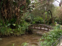 the Botanical Garden of Hamma is recognized as one of the most remarkable botanical gardens in the world. It joined the international network of botanical gardens BGCI (Botanic Garden Conservat