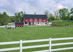 Dairy Barn & Pasture