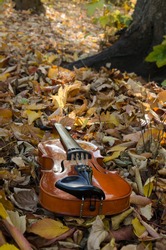 wooden violin, classical music instrument on a mattress of dry yellow leaves