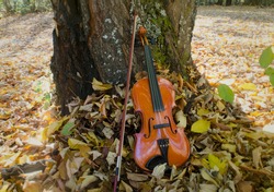 classical violin, musical instrument leaning on a tree with its bow next to it with autumn leaves