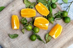 Sunkist oranges that have been cut, arranged together with whole limes and lime leaves that have started to dry up