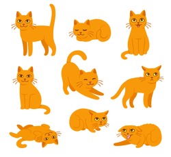 Cartoon cat set with different poses and emotions. Cat behavior, body language and face expressions. Ginger kitty in simple cute style, isolated vector illustration.