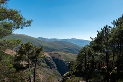 Between pine tree a huge cliff with mountains in the background in Fisgas de Ermelo in Serra do Alvão, Portugal