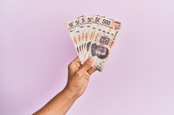 Hispanic hand holding 500 mexican pesos  banknotes over isolated pink background.