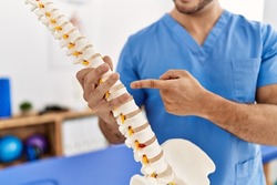 Young hispanic man wearing physio therapist uniform pointing to anatomical model of vertebral column at clinic
