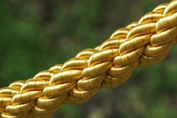 fragment of a braided rope on a green background. golden braided rope close up.