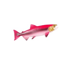 Sockeye salmon animal plastic toy isolated on white