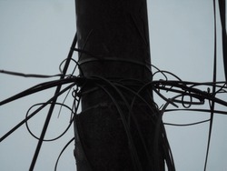 Photo of wires attached to electric poles