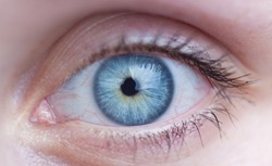 Close-up of a beautiful female blue eye
