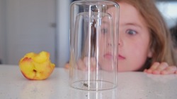 Curious Caucasian Kid Girl Observing Wasp Insect Trapped in Glass by Ripe Juicy Fruit