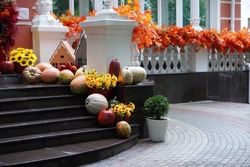 pumpkins of different colors and flowers with decorative houses in the form of an autumn decoration of the house, stairs, entrance to the autumn Halloween holiday