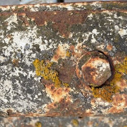 Rust on metal, lichen and rust