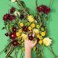 A woman's hand immersed in a bouquet of colorful flowers.
Green, yellow, red flowers on a green background. Nature and colorful concept.