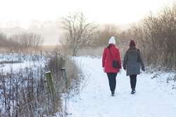 winter walk in fresh snow in Denmark