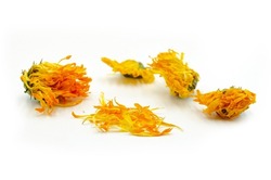 Focused dried calendula flowers isolated on white