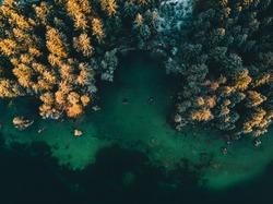 Colored autumn trees from a bird's eye view, from above, drone image, forest from above at a lake in the Alps, sunrise, Hintersee, Germany