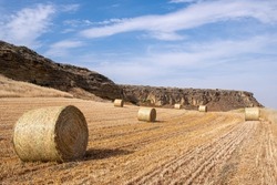 Harvesting hay bales on wheat field. Agriculture outdoors. Cyprus