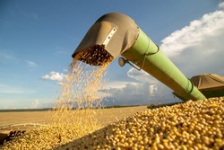 The most produced grain in the country, Brazilian soy stands out for its competitiveness on the international market.
But to stand out in oilseed production, it is necessary to have productivity 
