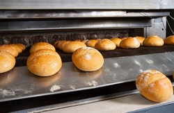 Conveyor belt with loaves of bread at the bakery. Production of bread at an industrial enterprise.