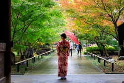 young Japanese wearing red kimono and hand holding umbrella standing at the entrance to the park in autumn leaves season in Japan 
