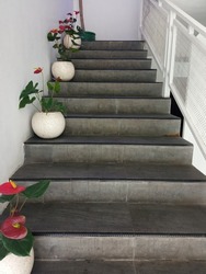 Rows of potted flowers along the stairs as a restaurant decoration