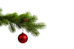 Single Red Christmas glass ball hanging from a pine branch, isolated on white with copy space. 