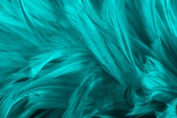 Beautiful dark green turquoise vintage color trends feather pattern texture background