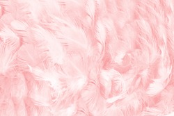 Coral pink vintage,feather pattern texture background,pastel soft fur for baby to sleep.