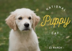 National Puppy day, Puppy day