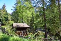Traditional Swiss wooden house in the forest in the village of Binn in Canton Valais, Switzerland