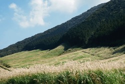  The pampas grass fields at Sengokuhara in late summer — Hakone, Kanagawa Prefecture, Japan
