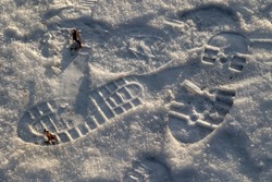Footprints from the bottom of a shoe in the snow in the forest.